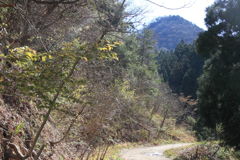 0828Gtg114