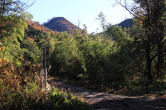 0922Gnt105 0922Gnt105