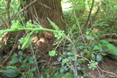 0825Uks108 0825Uks108