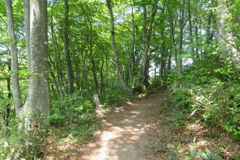 1245Uks149 1245Uks149