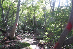 0920Okr112 0920Okr112