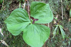 1328Uks158 1328Uks158