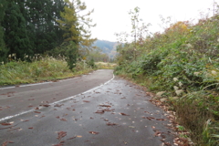 1235Osj137 1235Osj137