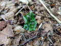 1032Uks127 1032Uks127