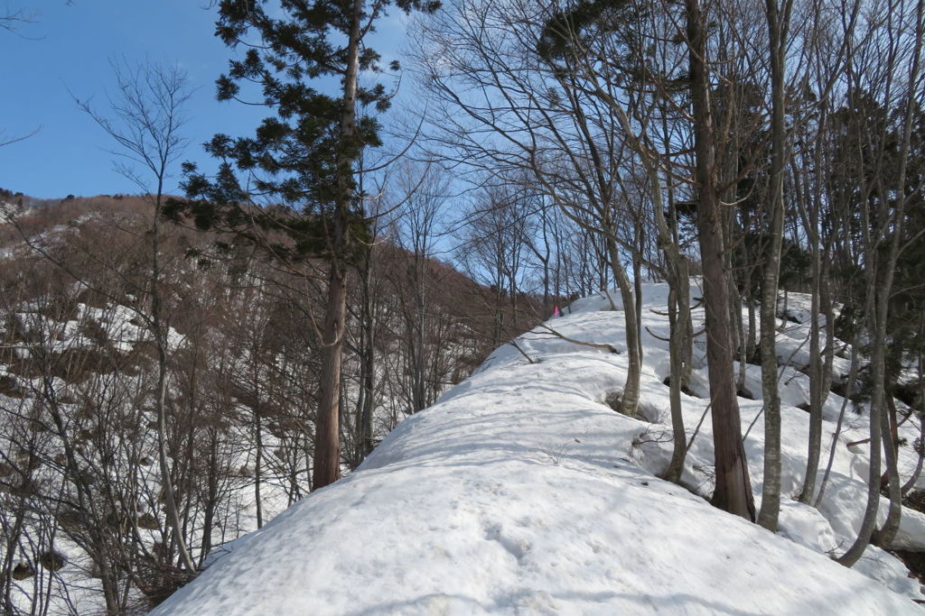 0902Usk113
