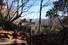 1002Gnt129 1002Gnt129