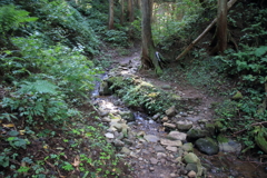 0855Gto133 0855Gto133