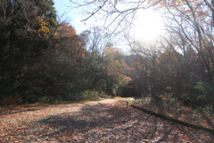 0926Gnt108 0926Gnt108