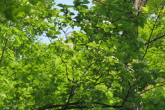 0920Uks118 0920Uks118