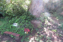 1009Okr123 1009Okr123