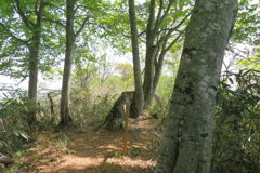 1048Uks133 1048Uks133