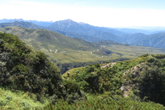 1122Okd153 1122Okd153