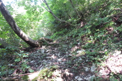 0946Okr117 0946Okr117