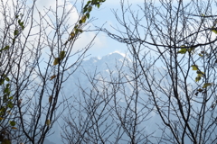 1022Osj120 1022Osj120