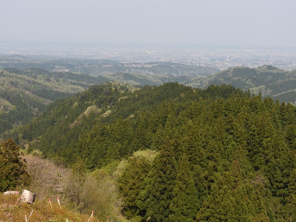 0843Chg_00110