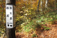 0915Gkt115