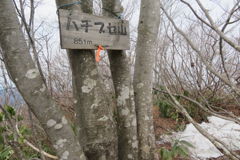 1005Ohz132 1005Ohz132