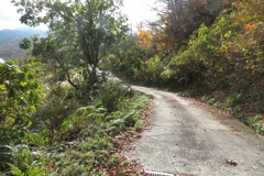 1046Osj129 1046Osj129