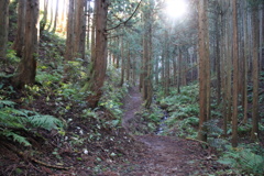 0943Gnt119 0943Gnt119