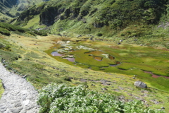 0839Okd113 0839Okd113