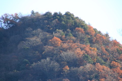 0922Gnt106 0922Gnt106