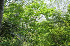 0911Uks116 0911Uks116