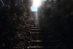 1009Gnt139 1009Gnt139