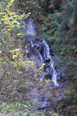 0938Gnt116 0938Gnt116