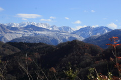 1011Gnt144 1011Gnt144