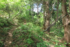 0910Tkr124 0910Tkr124