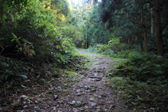 0850Gto128 0850Gto128