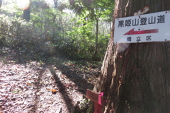 0858Okr109 0858Okr109