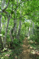 0958Tkr138 0958Tkr138