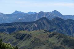 1123Okd155