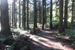 0826Okr105 0826Okr105