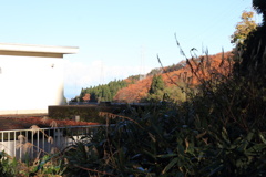 0920Gnt104 0920Gnt104