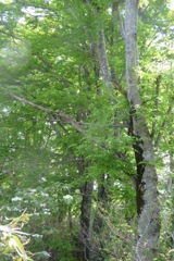 1046Uks130 1046Uks130