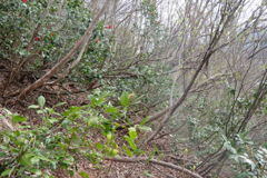 0831Ohz113 0831Ohz113