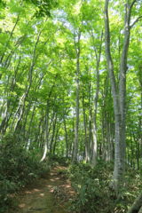 1251Uks151 1251Uks151