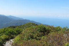 1145Okr144 1145Okr144