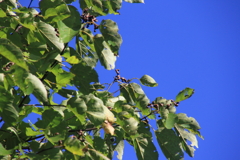 0834Gto114 0834Gto114