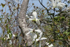 1037Uks128 1037Uks128