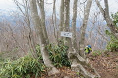 1004Ohz130 1004Ohz130