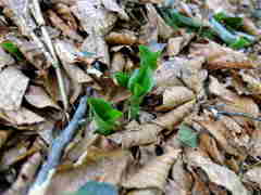 1128Uks143 1128Uks143