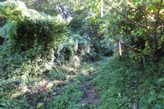 0927Okr114 0927Okr114