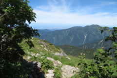 1111Okd147 1111Okd147