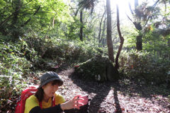 0858Okr110a 0858Okr110a