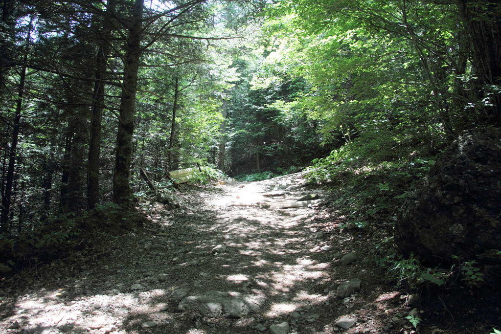 1123Mt117