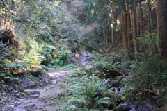 0939Gnt117 0939Gnt117