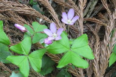 1340Uks163 1340Uks163